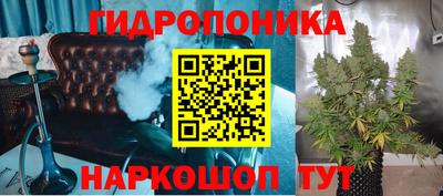 твердый Краснодар