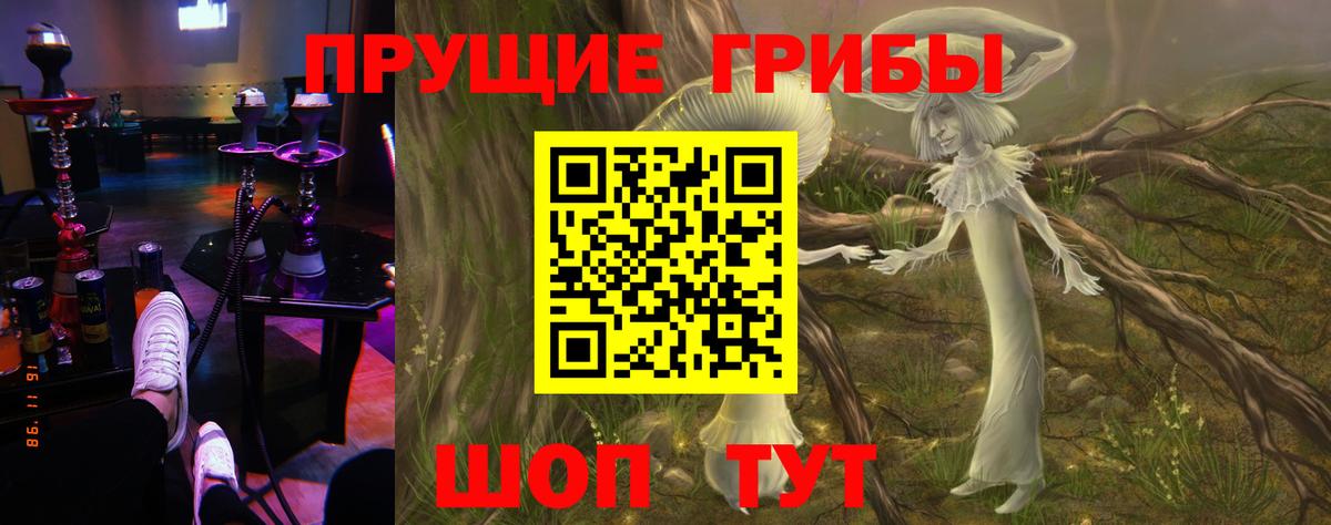 Галлюциногенные грибы мицелий  Вход с VPN  Галлюциногенные грибы прущие грибы  дарнет шоп  Сальск 